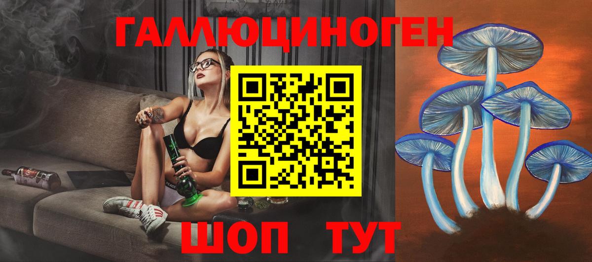 Галлюциногенные грибы ЛСД  Вход с VPN  купить закладку  Новочебоксарск 